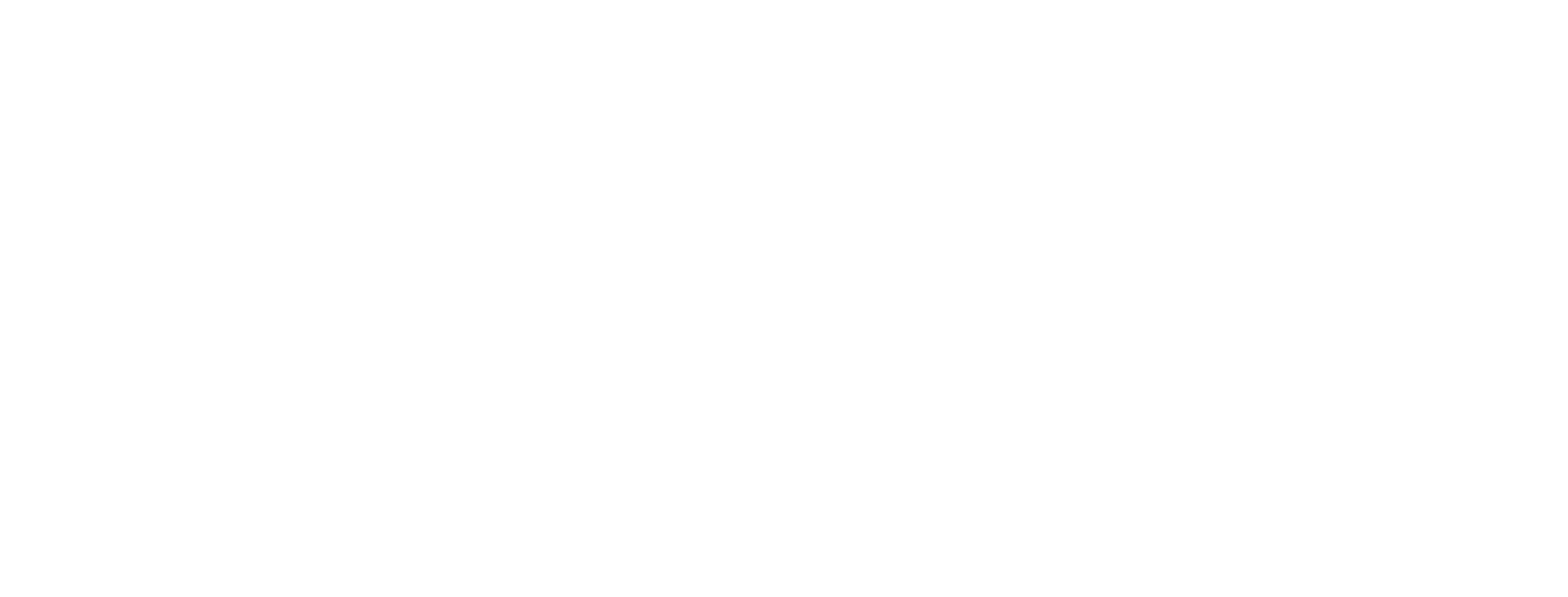 DepoLock